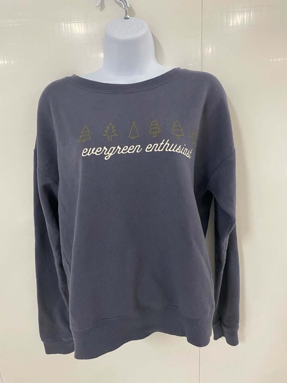 ComfortWash Evergreen Enthusiast Graphic Crewneck Sweatshirt Anchor Slate